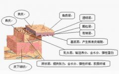 植发会伤害到脑部神经吗