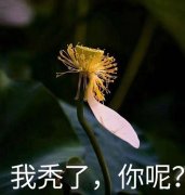 如何选择植发医院？公立的和专业植发机构有什么区别？